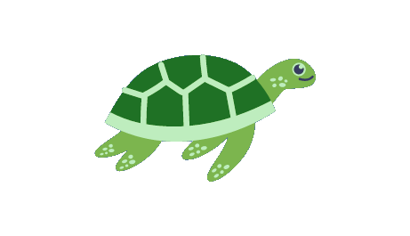 Tortue